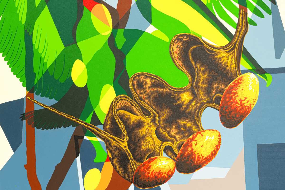 Erythrina antalgique