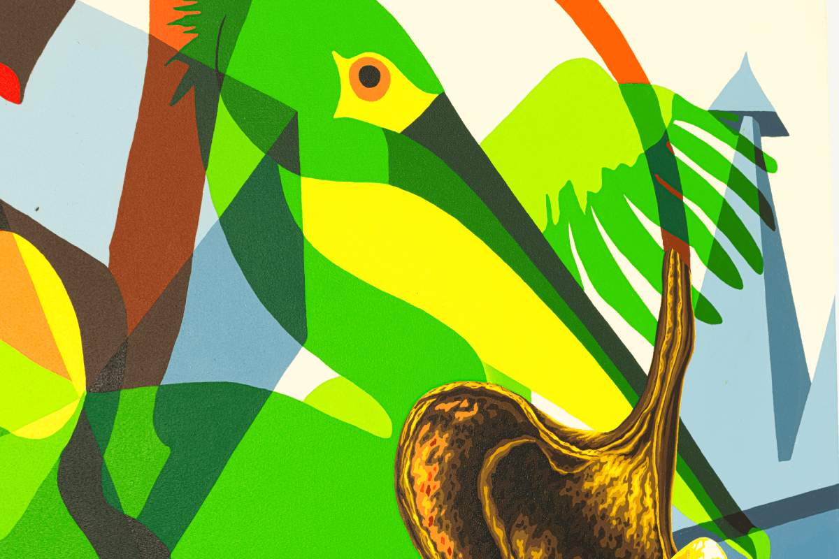 Erythrina antalgique